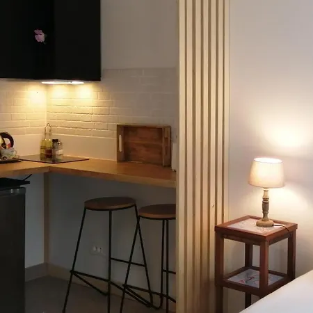 Studio A La Villa Voltaire 3*