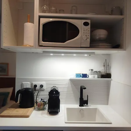 Studio A La Villa Voltaire 3*
