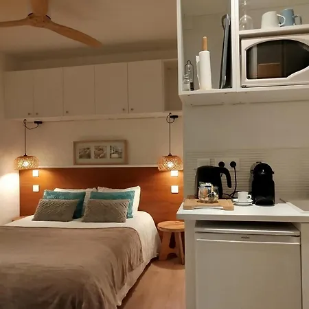 Studio A La Villa Voltaire